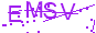 驗證碼 EMSV